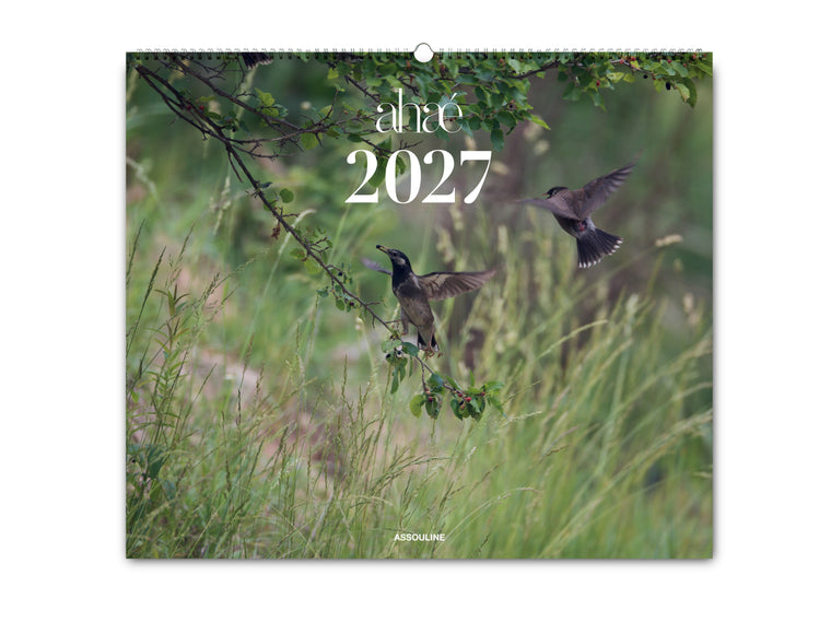 2027 Ahae Wall Calendar