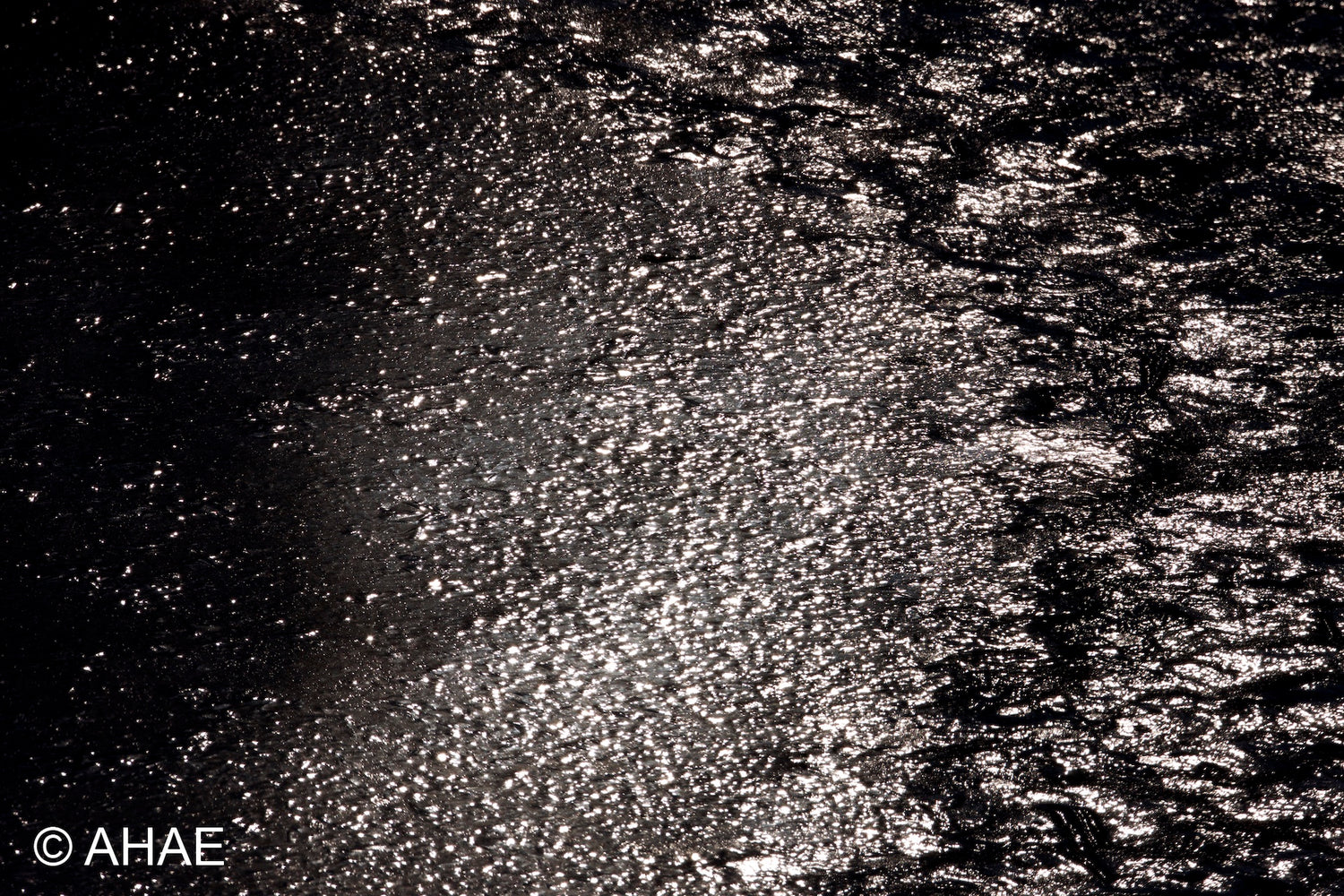 Waves on Pond (2012)