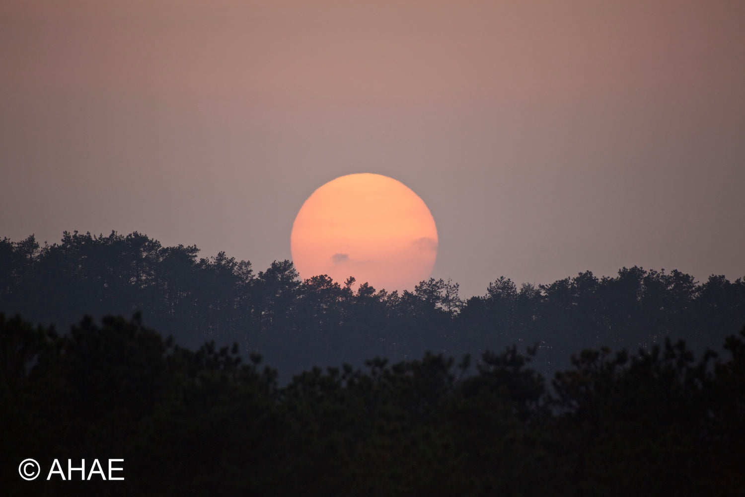 Sunset (2013)