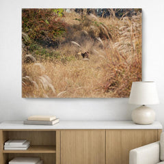 Water Deer, on Art Canvas (36 x 54" – 914 x 1372mm)