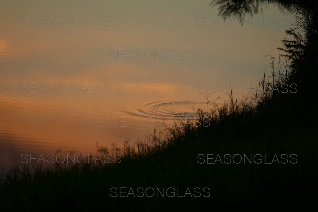 Waves on Pond