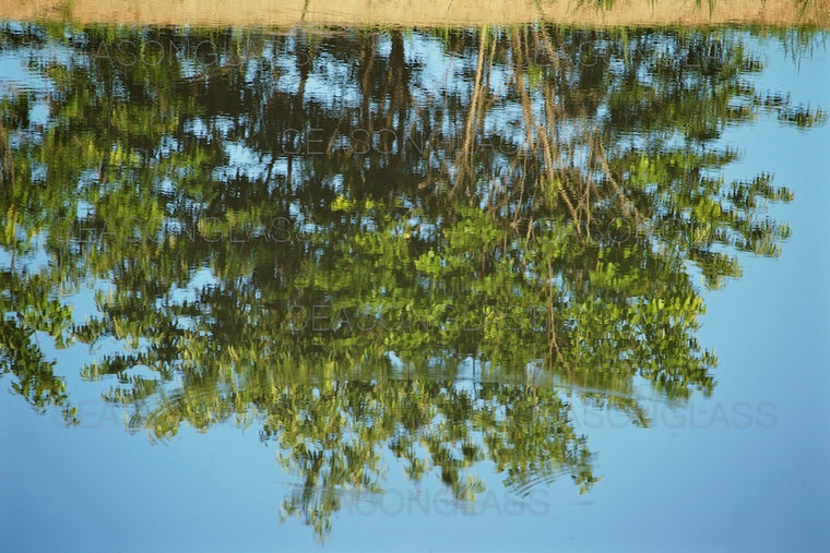Reflection