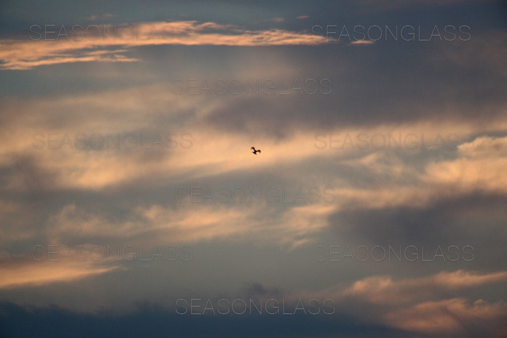 Light and Clouds