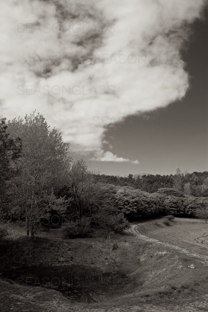 Land and Sky