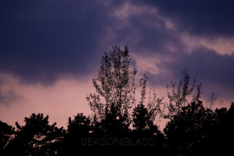 Evening Sky