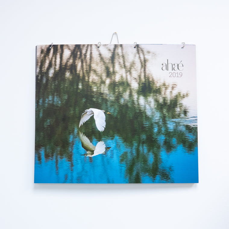 Gift - 2019 Wall Calendar