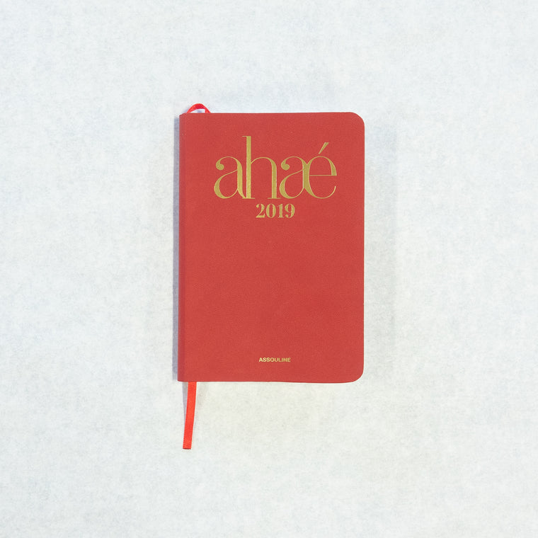 Gift - 2019 Diary Calendar