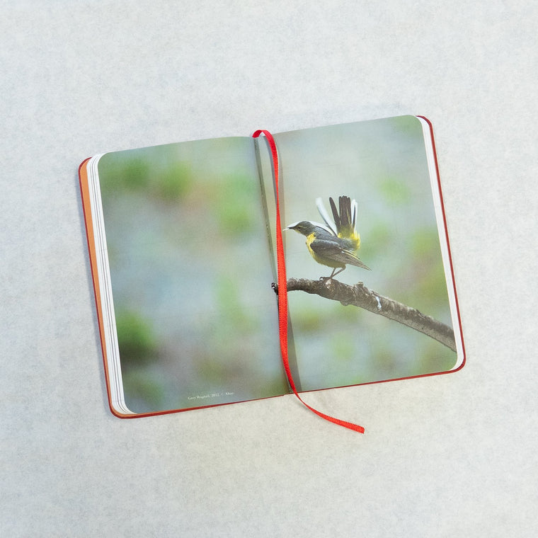 Gift - 2019 Diary Calendar