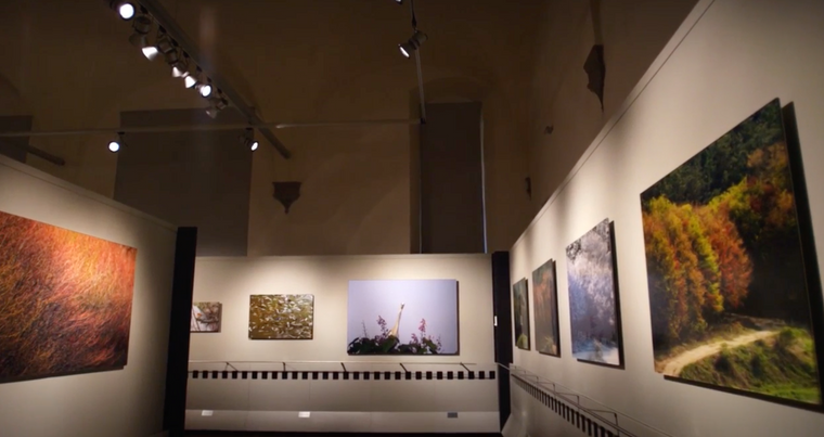 Florence Alinari National Museum 2011
