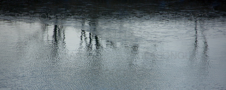 Reflection