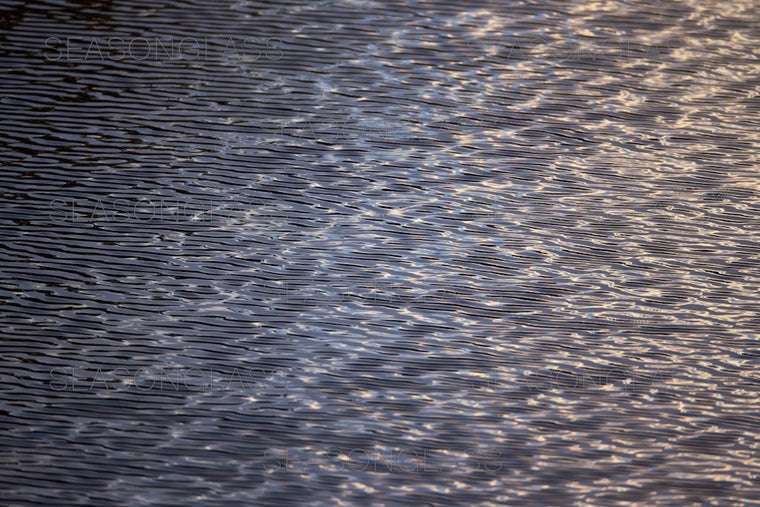 Waves on Pond