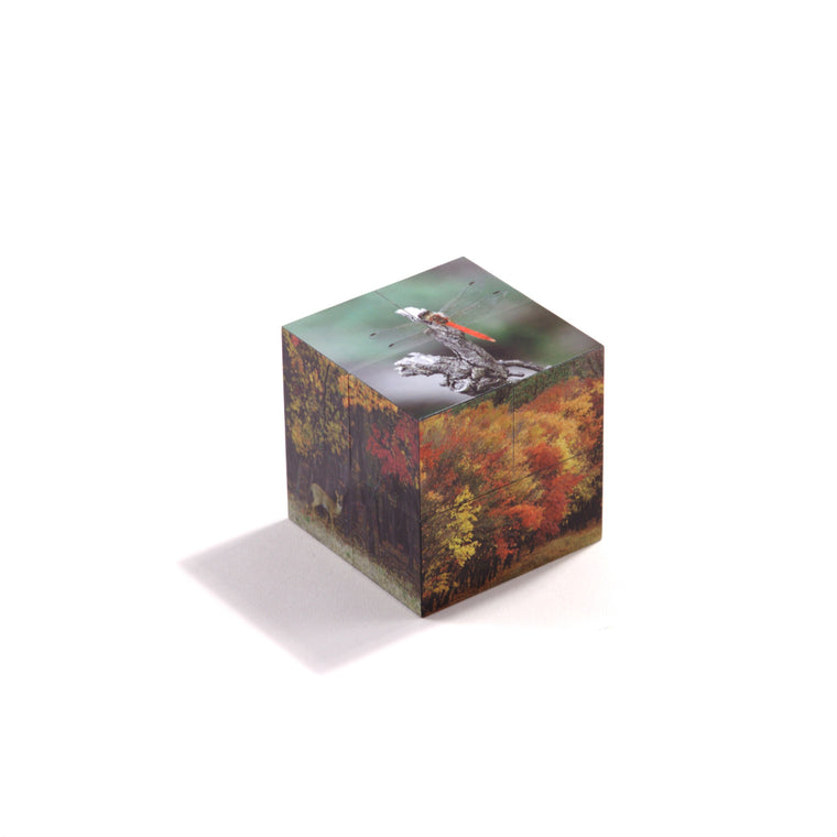 Puzzle Cube