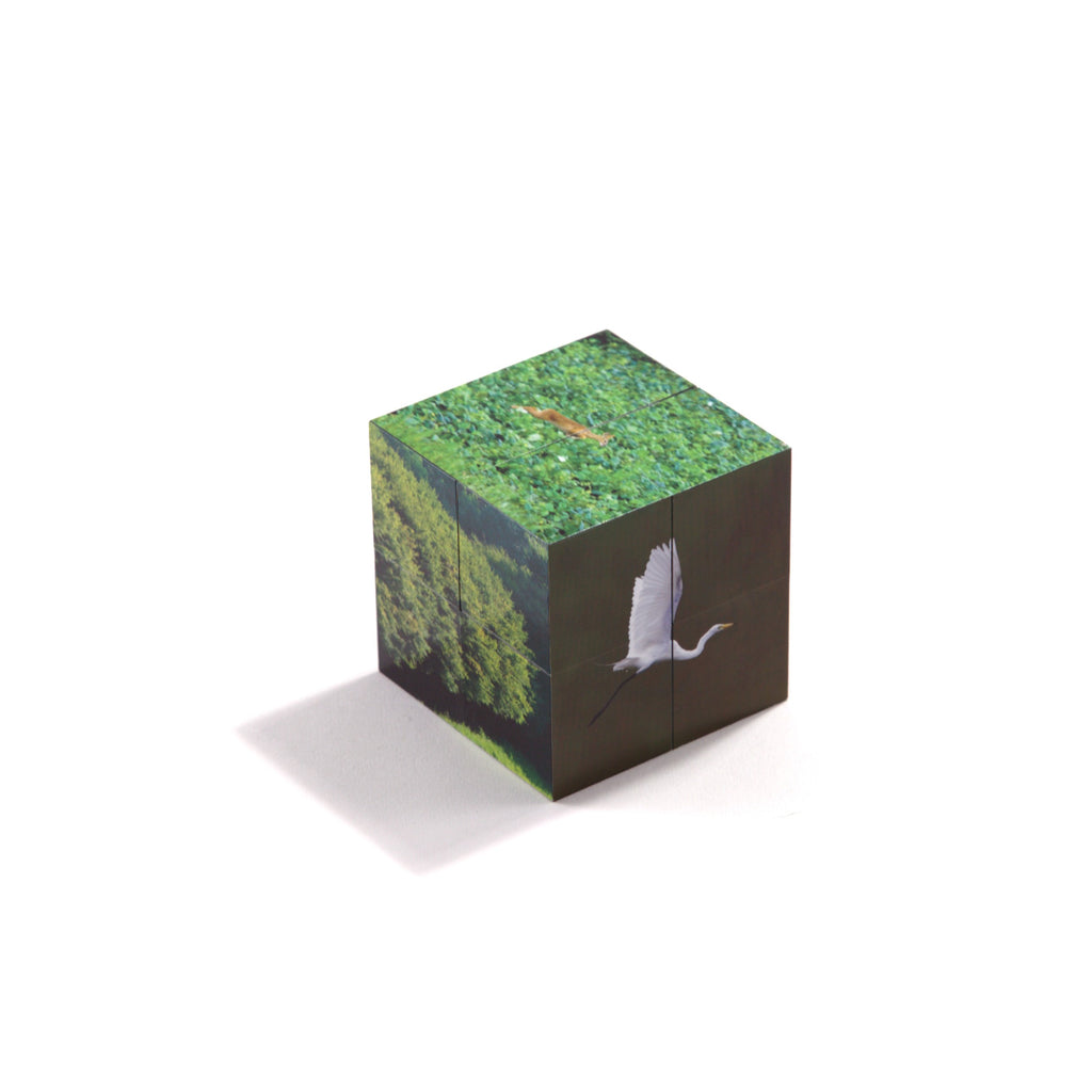 Puzzle Cube